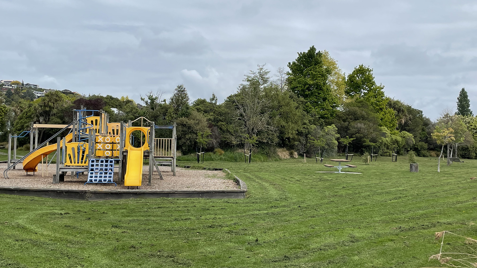 Open grass reserve with playground equipment and trees