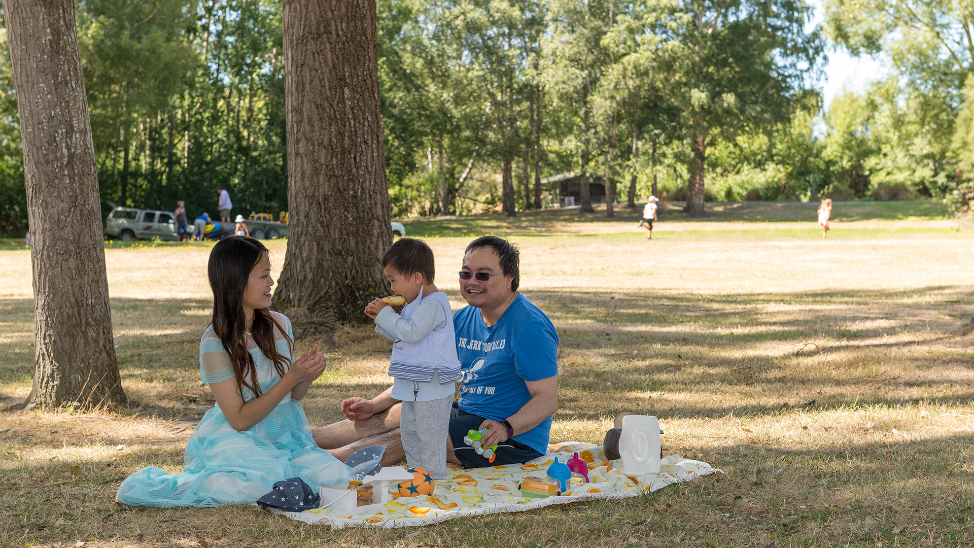 Open grassy picnic area with sign, bollards and trees in a park