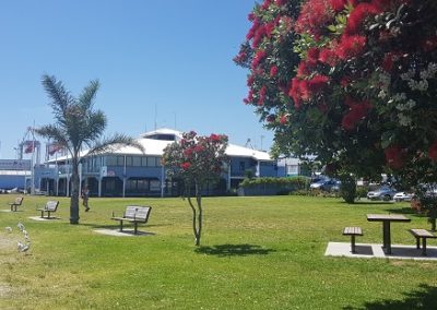 Club building exterior viewed from waterfront with lawn and trees