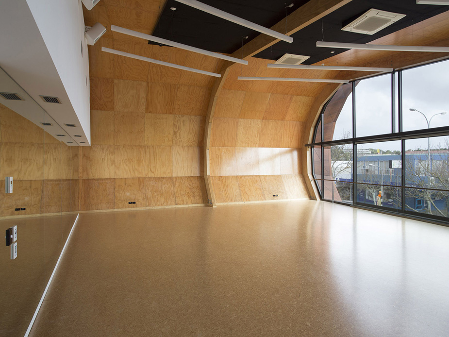 Studio room with curved plywood wall, wall mirror, cork floor, and timber ceiling, glazed windows on two sides
