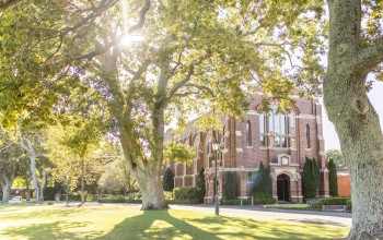 Red brick building facade partially screened by mature trees on a sunny lawn