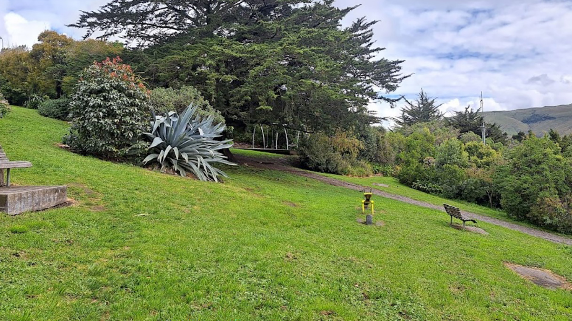 Grassed park slope with benches and mixed plantings