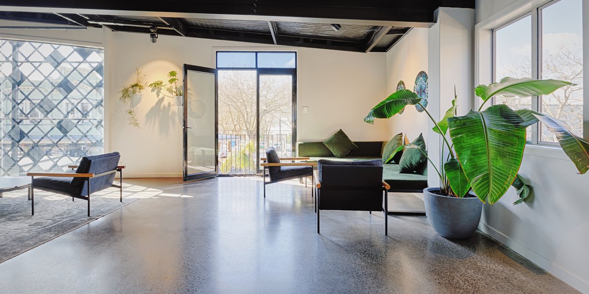 White-walled studio with polished concrete floor, black ceiling, lounge furniture and large plant
