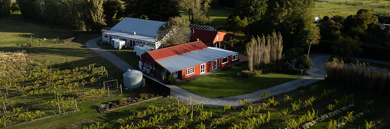 Aerial view of red-roofed farm buildings set among vineyard rows and open paddocks