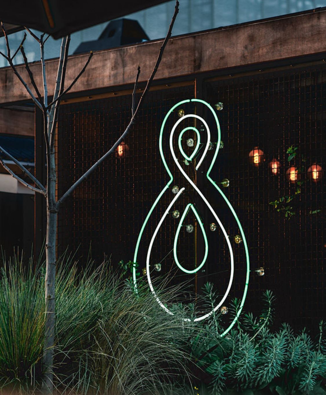 Neon infinity symbol artwork on dark timber exterior wall with planting in foreground