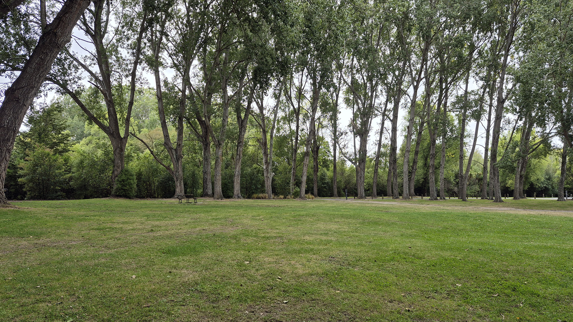 Grassy park area with trees and a picnic table in dappled shade