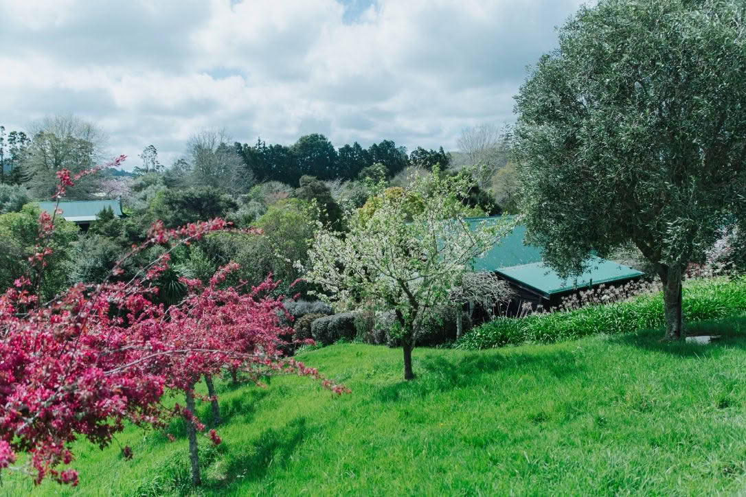 Garden grounds with flowering trees and cottage roof visible among plantings