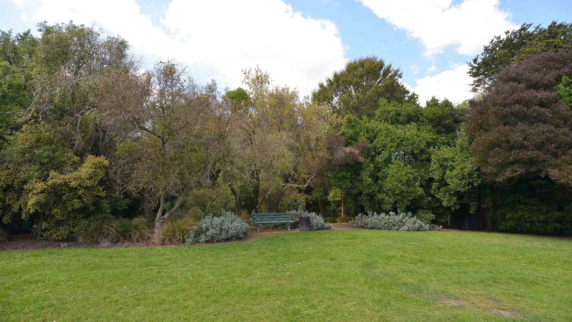 Parkland with bench seat, trees and open lawn